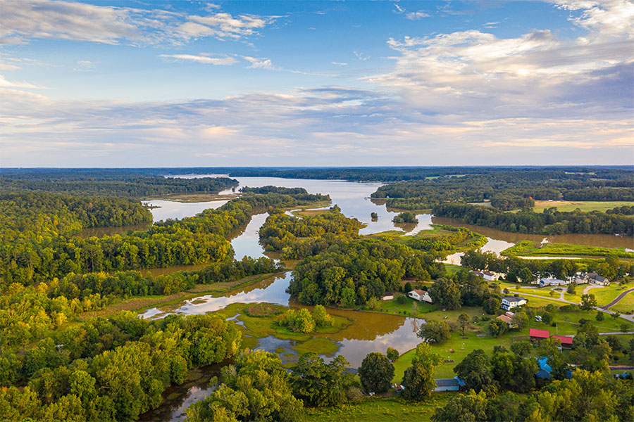 Georgia Landscape